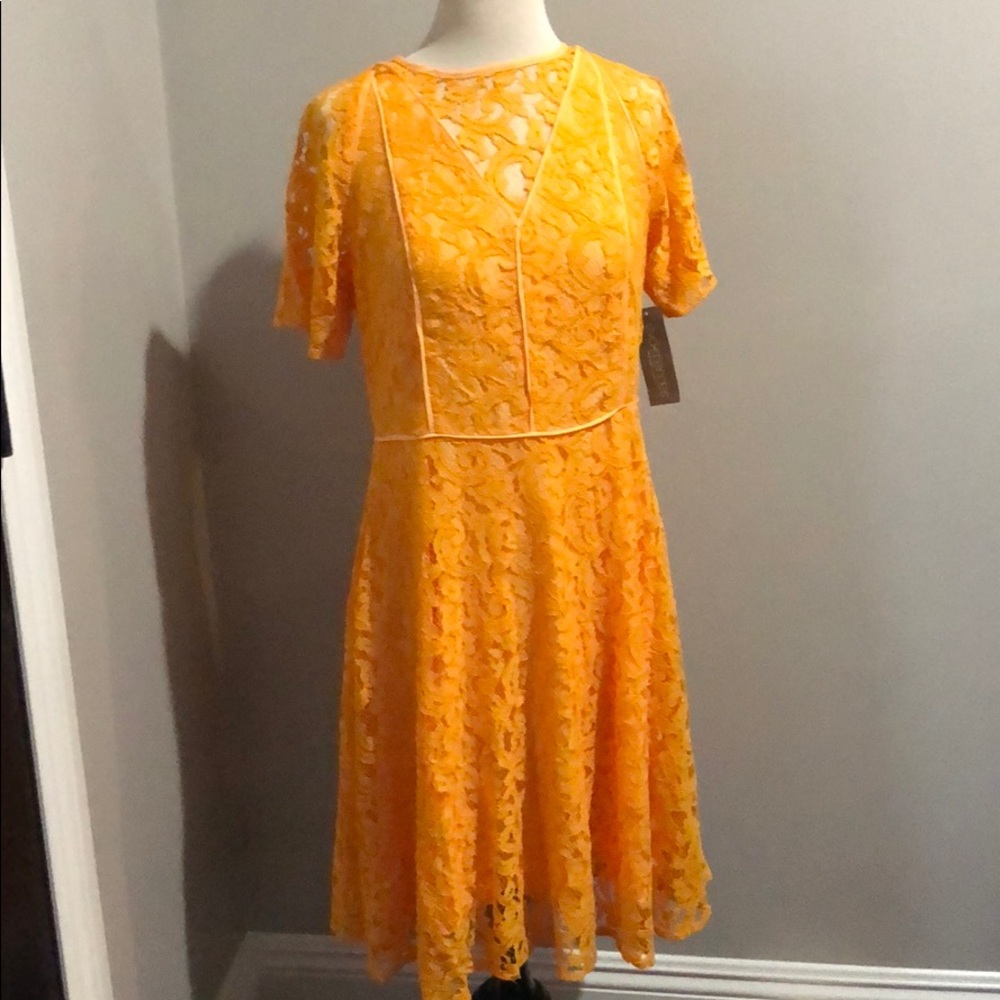 NWT Eva Mendes Dress Size 8